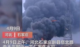 东莞媒体爆料视频,揭秘视频背后的惊人真相