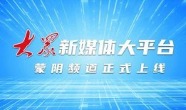 山东蒙阴媒体爆料案件视频,视频揭露惊人真相