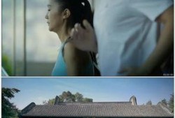 各种爆料生活百态视频大全,短视频中的真实世界全景