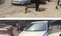 石家庄爆料撞车视频,视频曝光事故瞬间