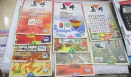 香港歌手梁安琪最新爆料,独家爆料最新动态！”