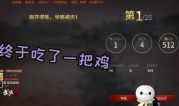 爆料乐山雷哥视频播放在线观看,在线观看，揭秘幕后故事