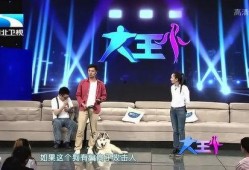 电影爆料现场视频大全免费观看,免费观看独家揭秘