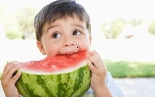 娱乐吃瓜酱棉袄猫窝,揭秘明星温馨家居生活